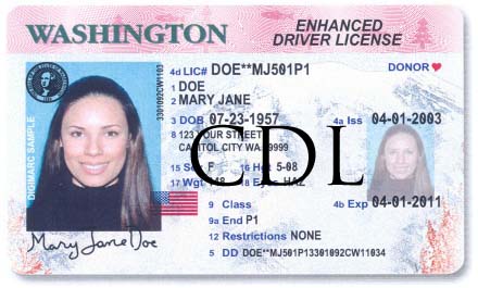 cdl license